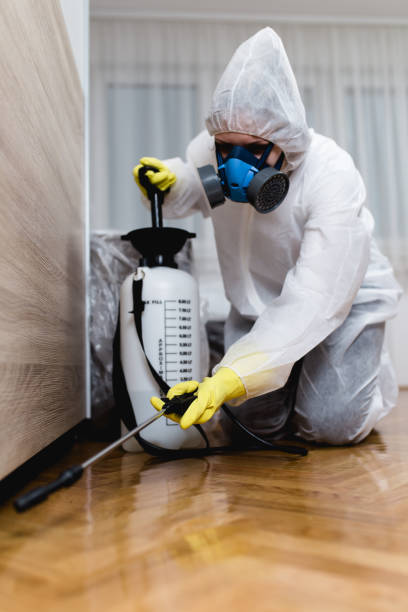 Best Pest Prevention Services  in Hoosick Falls, NY